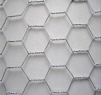 Hex Wire Netting Wire Mesh  Manufacturers in Raipur