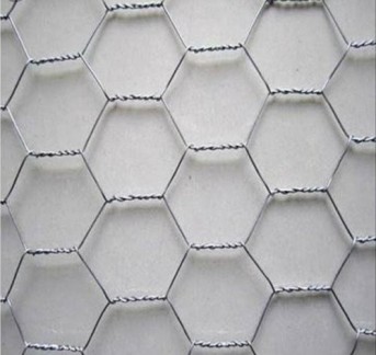 Hex Wire Netting Wire Mesh  Manufacturers in Amritsar