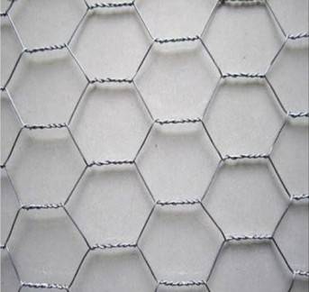 Durable Hexagonal Welded Wire Mesh Industrial-Grade with Polished Surface Coating in Delhi